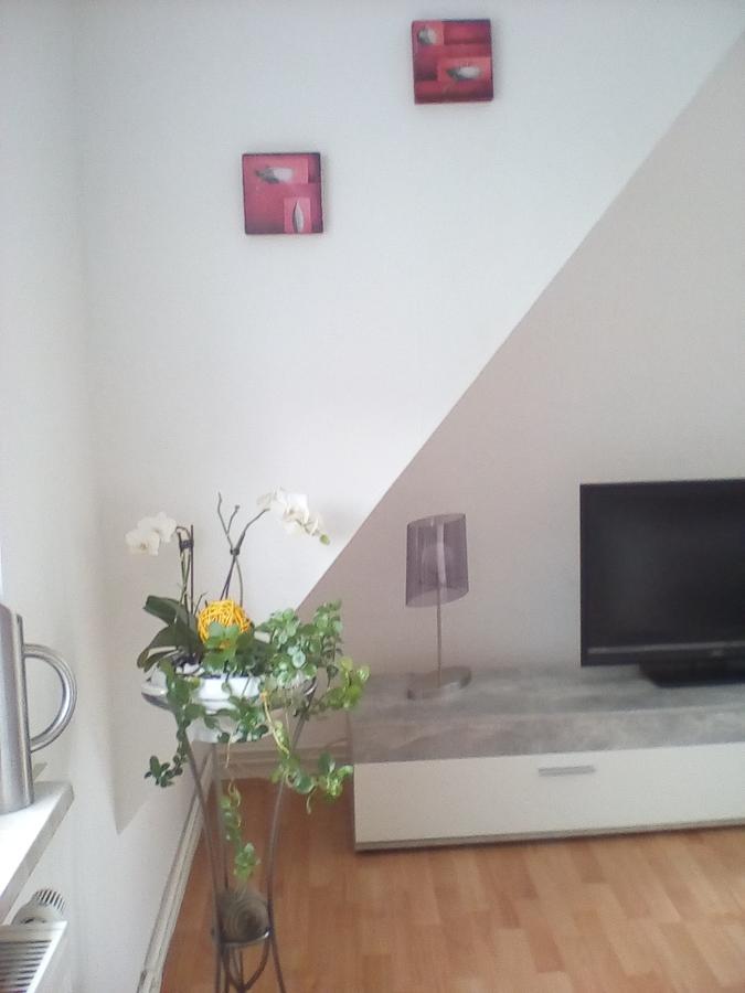 Ferienwohnung Am Geiersberg Walkenried Eksteriør bilde