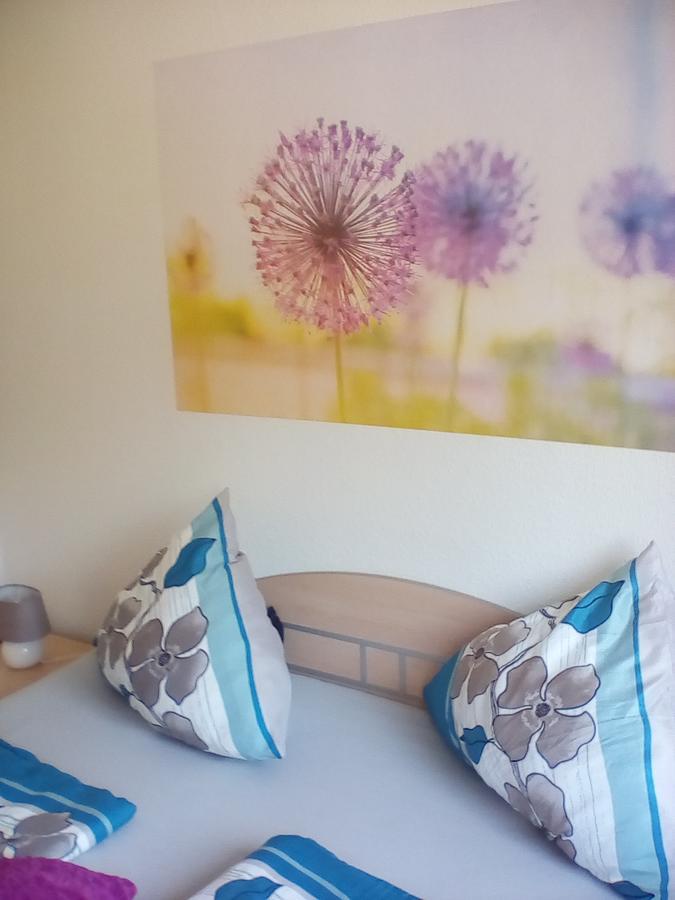 Ferienwohnung Am Geiersberg Walkenried Eksteriør bilde