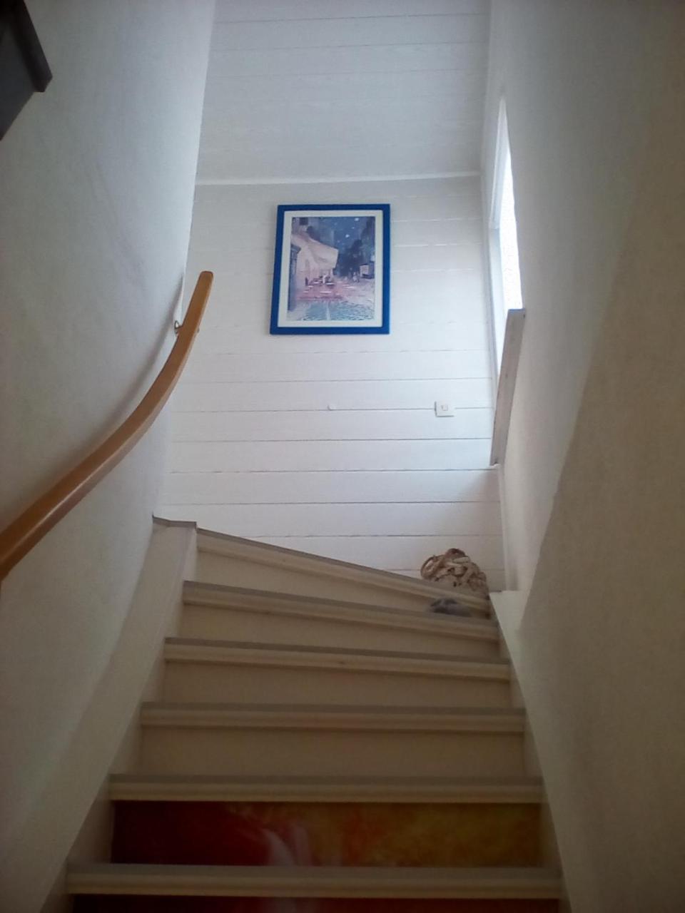 Ferienwohnung Am Geiersberg Walkenried Eksteriør bilde